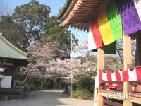 04