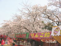 Ԍ@01