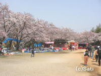 Ԍ@02