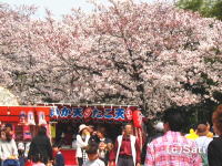 Ԍ@03