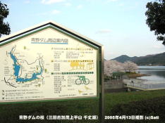 三田市青野ダムの桜 01 青野ダム周辺案内図パネル