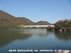 金仙寺湖(西宮市丸山貯水池)の桜 06 金仙寺湖(西宮市丸山貯水池)を見る