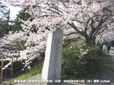 金仙寺湖(西宮市丸山貯水池)の桜 08 洗足山金仙寺観音堂への案内石